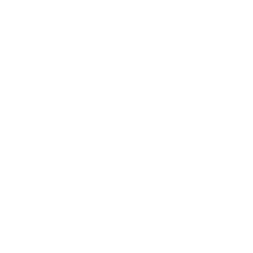 SpeedyTint